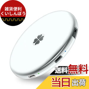 �y���������zApple�F�� (MFI�擾) �t���b�V���h���C�u iPhone USB������ iOS USB�������R�l�N�^�t�� iPhone X XS MAX iPad iPod touch�ȂǑΉ� �e�ʕs������ �F�F�V���o�[�O���[�A�T�C�Y�FSSD 1TB