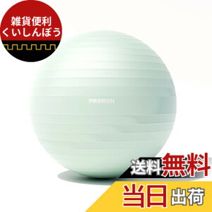 �y���������zPROIRON �o�����X�{�[�� �΂�񂷂ځ[�� 55cm 65cm 75cm (6�F) ���� �W���{�[�� �t�B�b�g�l�X�{�[�� �A���`�o�[�X�g �ω׏d300kg �n���h�|���v�t �F�F���C�g�O���[���A�T�C�Y�F58-65cm/M