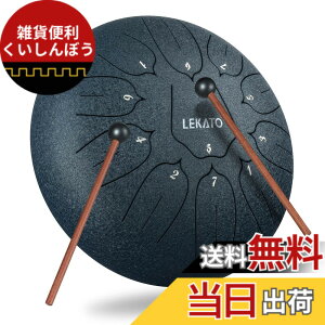 �y���������z�X���b�g�h���� �X�`�[���^���O�h���� LEKATO �����h���� 11�� 6�C���` �Ŋy�� �}���b�g ���[�o�b�O�t�� �ґz ���K �T �F�F�l�C�r�[�u���[�i10�C���`�j