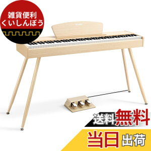 �y���������zDonner �d�q�s�A�m 88���� DDP-80 �F�F�I�[�N�x�[�W���A�T�C�Y�FDDP-80