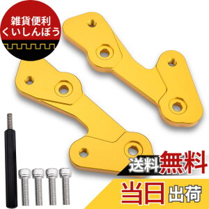 �y���������zLEDISHUN �o�b�N�X�e�b�v �A�W���X�^�[ 30mm �A�b�v 25mm �o�b�N �J���T�L ZX-25R(2020-2023) ZX-4R ZX-4RR (2023+)�ɓK�p �F�F�S�[���h