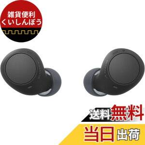 �y���������z�\�j�[(SONY) ���S���C�����X�C���z�� WF-C500/WF-C510 :/�����x�ʘb�i��/IPX4�h�H���\ �F�F�u���b�N�A�T�C�Y�F���^�y��