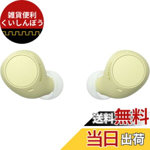 �y���������z�\�j�[(SONY) ���S���C�����X�C���z�� WF-C500/WF-C510 :/�����x�ʘb�i��/IPX4�h�H���\ �F�F�C�G���[�A�T�C�Y�F���^�y��