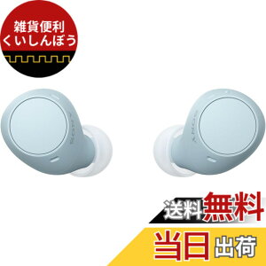 �y���������z�\�j�[(SONY) ���S���C�����X�C���z�� WF-C500/WF-C510 :/�����x�ʘb�i��/IPX4�h�H���\ �F�F�u���[�A�T�C�Y�F���^�y��