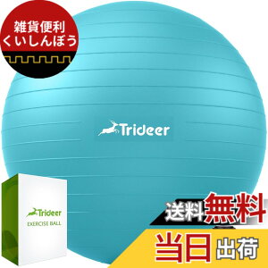 �y���������zTrideer �{�[���`�F�A ���K�{�[���`�F�A �G�N�T�T�C�Y�{�[���`�F�A �x�[�X�t�� �z�[���I�t�B�X�f�X�N�p ����{�[��&�o�����X�{�[���V�[�g ���Ɋɘa �z�[���W�� ���[�N�A�E�g�{