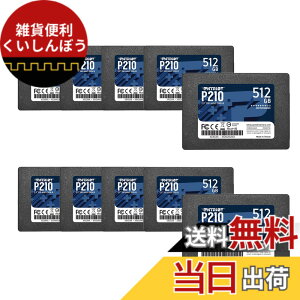 �y���������zPatriot P210 Parent Solid State Drive SSD �F�F�u���b�N�A�T�C�Y�F512GB 10 Pack