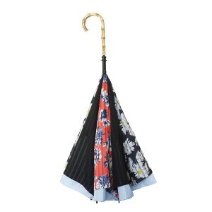 �y���������zCARRY saKASA (�L�����[�T�J�T) Advance Style (�A�h�o���X�X�^�C��) �G��Ȃ��P �t�܂莮�P �t���P �f�U�C�� ������� ���� �F�F���_���f�C�W�[�E�u���[�A�T�C�Y�F���a100cm