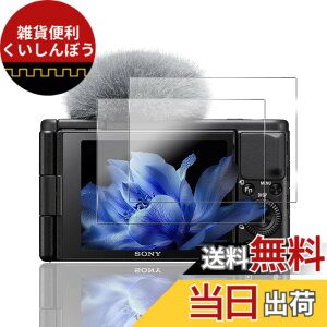 �y���������z�Ή� �K���X�t�B���� �ی�t�B���� ���E���h�G�b�W���H�Ȃ� �T�C�Y�F�Ή� SONY ZV1