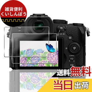 �y���������z�Ή� �K���X�t�B���� + �J�����t�B���� �y�d�x9H�z �����K���X Touch�Ή� �A��U�h�~ �A�Ռ��z�� �A�w��h�~ �A�ȒP�\��t�� �F�F�N���A�A�T�C�Y�F�Ή� Panasonic LUMIX S1RII / G99II / GH7