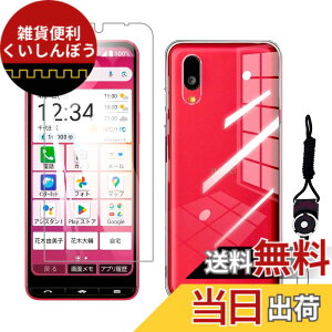 �y���������z�t�B���� �F�F�����A�T�C�Y�F�y1+1�zBASIO active3