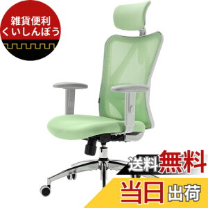 �y���������zSIHOO M57 ���b�V���I�t�B�X�`�F�A �n�C�o�b�N �l�ԍH�w�֎q S�����̔w������ 3D�A�[�����X�g �ʋC�� ���[�N�`�F�A ���b�L���O�@�\ �����o�[�T�|�[�g�����\ ���N���C�j���O ��