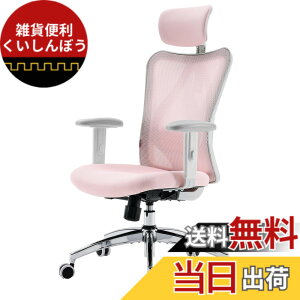 �y���������zSIHOO M57 ���b�V���I�t�B�X�`�F�A �n�C�o�b�N �l�ԍH�w�֎q S�����̔w������ 3D�A�[�����X�g �ʋC�� ���[�N�`�F�A ���b�L���O�@�\ �����o�[�T�|�[�g�����\ ���N���C�j���O ��