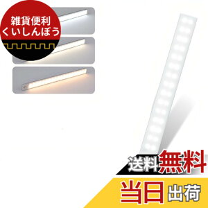 �y���������zYOREMEI�l���Z���T�[���C�g LED�Z���T�[���C�g���� �Ǌ|���Ɩ� �������Z���T�[LED���C�g���� Type-C�[�d�������_��/���� �����^�݌v20cm�Z���T�[�����v���� �L�� �L�b�`�� �K�i ���� 