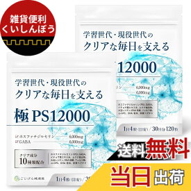 【送料無料】【脳神経科医が監修】 ホスファチジルセリン サプリ GABA【配合量業界トップレベルのPSサプリ】【集中力x落ち着き】【クリア成分10種類x30日分120粒x国内製造】[ごじげん健康堂] サイズ：2袋