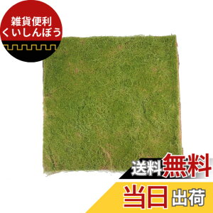 �y���������z�yGood in three directions�z�t�B�M���A �W�I���}�p �X�ёf�� �l�H�� �ŃV�[�g figma �t�B�M���A�L���A�A�[�c �X�� �F�F�ŃV�[�gB�A�T�C�Y�F50cm x 50cm x 2cm