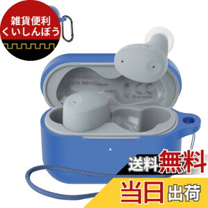 �y���������zSOUNDPEATS GoFree2 �P�[�X �F�F�u���[(final ZE300)�A�T�C�Y�Ffinal (�t�@�C�i��) ZE300 �ی�J�o�[