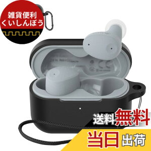 �y���������zSOUNDPEATS GoFree2 �P�[�X �F�F�u���b�N(final ZE300)�A�T�C�Y�Ffinal (�t�@�C�i��) ZE300 �ی�J�o�[