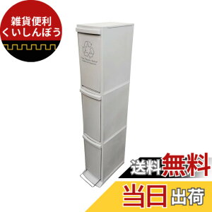 �y���������zAZUMAYA �_�X�g�{�b�N�X �F�F�O���[�A�T�C�Y�F3D