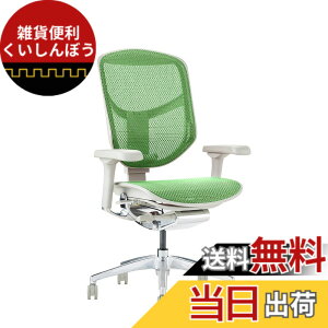 �y���������z�G���S�q���[�}��2(ergohuman2) �I�t�B�X�`�F�A ENJOY �G���W���C �F�F���b�V��:�O���[�� / �t���[��:�O���[�A�T�C�Y�F���[�^�C�v