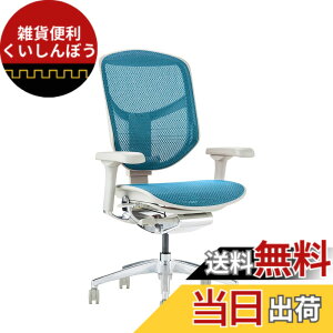 �y���������z�G���S�q���[�}��2(ergohuman2) �I�t�B�X�`�F�A ENJOY �G���W���C �F�F���b�V��:�O���[ / �t���[��:�O���[�A�T�C�Y�F���[�^�C�v