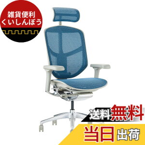 �y���������z�G���S�q���[�}��2(ergohuman2) �I�t�B�X�`�F�A ENJOY �G���W���C �F�F���b�V��:�u���[ / �t���[��:�O���[�A�T�C�Y�F�n�C�^�C�v