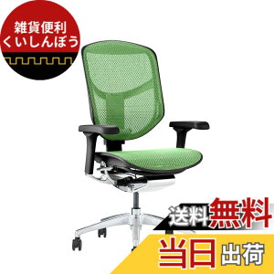 �y���������z�G���S�q���[�}��2(ergohuman2) �I�t�B�X�`�F�A ENJOY �G���W���C �F�F���b�V��:�O���[�� / �t���[��:�u���b�N�A�T�C�Y�F���[�^�C�v