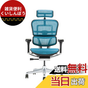 �y���������z�G���S�q���[�}��2(Ergohuman2) �I�t�B�X�`�F�A �F�F�t���[��:BLACK / ���b�V��:BLUE�A�T�C�Y�F�n�C�^�C�v