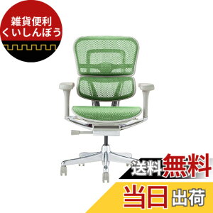 �y���������z�G���S�q���[�}��2(Ergohuman2) �I�t�B�X�`�F�A �F�F�t���[��:GRAY / ���b�V��:GREEN�A�T�C�Y�F���[�^�C�v