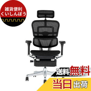 �y���������z�G���S�q���[�}��2(Ergohuman2) �I�t�B�X�`�F�A �F�F�t���[��:BLACK / ���b�V��:BLACK�A�T�C�Y�F�n�C�^�C�v�E�I�b�g�}������