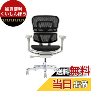 �y���������z�G���S�q���[�}��2(Ergohuman2) �I�t�B�X�`�F�A �F�F�t���[��:GRAY / ���b�V��:BLACK�A�T�C�Y�F���[�^�C�v