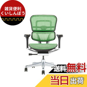 �y���������z�G���S�q���[�}��2(Ergohuman2) �I�t�B�X�`�F�A �F�F�t���[��:BLACK / ���b�V��:GREEN�A�T�C�Y�F���[�^�C�v