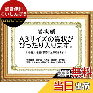 �y���������z�܏�z�� ���� �t�H�g�t���[�� �ʐ^���� �ʐ^���� A4�EA3�T�C�Y ���F �Ǌ|�� �c���Ή� �񂹏��� ���J�� �F�菑 ���ӏ� �C���� ���Ə؏� �\����z�������� �u���C�_�� �|�X�^�[ ��