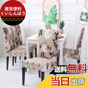 �y���������z[�j���[�o�����X] �X�j�[�J�[ WL373 B ���f�B�[�X �F�F�O���[�A�T�C�Y�F23.5 cm