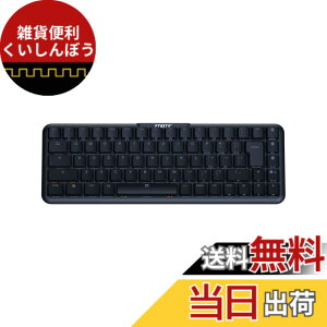 �y���������zFnaticGear �t�i�e�B�b�N�M�A STREAK65 �Q�[�~���O�L�[�{�[�h KB0006-005 KB73 �F�F�u���b�N