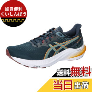 �y���������zasics(�A�V�b�N�X) �����Y GT-2000 12�����j���O�V���[�Y �F�F401(�t�����`�u���[/�t�H�M�[�e�B�[��)�A�T�C�Y�F29.0 cm 2E