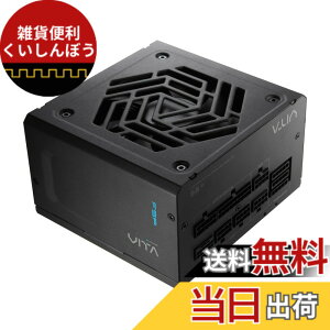 �y���������zFSP 80PLUS GOLD�ECybenetics GOLD�F�؎擾 ATX 3.1�Ή��uVITA �T�C�Y�F1000W