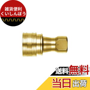 �y���������z�����H��(Nitto Kohki) SP-V�J�v��TypeA 2S-V-A BRASS FKM �F�F�S�[���h�A�T�C�Y�FR1/4