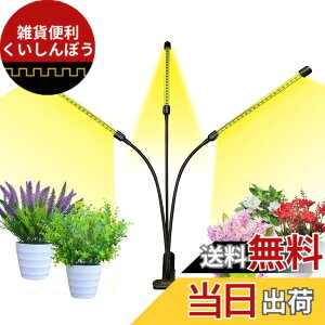 �y���������zbseah�����A���p�������C�g�A�S���X�y�N�g��LED�������C�g �F�F�u���b�N�A�T�C�Y�F�O�[1pcs