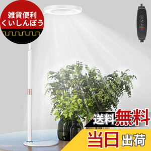 �y���������zbseah�����A���p�������C�g�A�S���X�y�N�g��LED�������C�g �F�F�z���C�g�A�T�C�Y�F��^-��