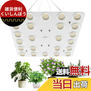 �y���������zbseah�����A���������A�S�X�y�N�g�������������A3��ނ̃��[�h��10���̒��� �T�C�Y�F�ʎq��100W