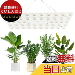 �y���������zbseah�����A���������A�S�X�y�N�g�������������A3��ނ̃��[�h��10���̒��� �T�C�Y�F�ʎq��240W