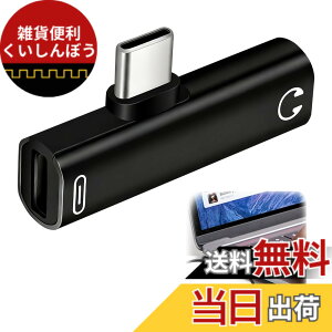 �y���������z�C���z�� �^�C�vC �ϊ� 3.5mm �ϊ� �^�C�vC �u���b�N 2in1 PD100W�}���[�d & Hi-Fi DAC���� 3.5mm�C���z���W���b�N �R���p�N�g �ʘb/���y/���ʒ��ߑΉ� Android/TypeC�[�q �ϊ��A�_�v�^