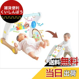 【送料無料】うちの赤ちゃん世界一 (R) スマート知育ジム&ウォーカー 色：混合カラー、サイズ：ワンサイズ