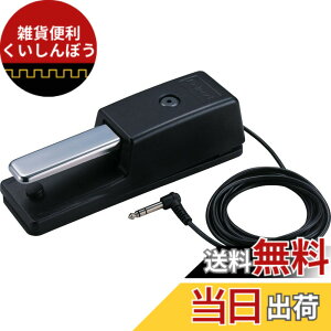 �y���������zRoland ���[�����h �_���p�[�y�_�� DP-10 �n�[�t�_���p�[�Ή� 2.2m�P�[�u�� �d�q�s�A�m �f�W�^���s�A�m �L�[�{�[�h �F�F�u���b�N