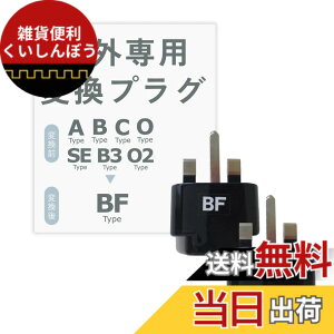 �y���������z�J�V���� �C�O�p�ϊ��v���OBF�^�C�v �F�F�u���b�N