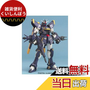 �y���������zMG 1/100 F91 �n���\���E�}�f�B����p �K���_��F91 (�@����m�N���X�{�[���E�K���_��) �F�F�u���[�A�T�C�Y�F�����T�C�Y