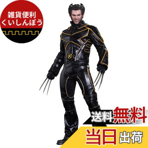 �y���������z���[�r�[�E�}�X�^�[�s�[�X X-MEN �t�@�C�i�� �f�B�V�W���� 1/6�X�P�[���t�B�M���A �E�����@����