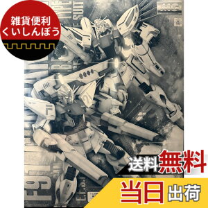 �y���������zMG 1/100 �K���_��F91 Ver.2.0 �o�b�N�L���m�������^���c�C���E���F�X�o�[�����^ �v�����f��(�z�r�[�I�����C���V���b�v����) �F�F�z���C�g�A�T�C�Y�F�~�j�`���A�X�P�[��