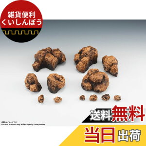 �y���������zTAMASHII NATIONS ��EFFECT ROCK Beige Ver. for S.H.�t�B�M���A�[�c �m���X�P�[�� ABS&PVC�� �h���ς݊����i�t�B�M���A �F�F�x�[�W��