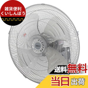 �y���������z�L�d(KODEN)�A���~�H���H�Ɛ� �F�F���C�g�O���C�A�T�C�Y�F�Ǌ|�^